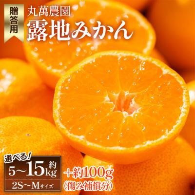 ふるさと納税 香南市 [2025年出荷分]みかん 小玉(2S〜Mサイズ) 5kg 贈答用 丸萬農園 mn-0001