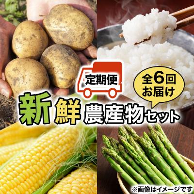 ふるさと納税 岩見沢市 <先行受付>いわみざわの新鮮農産物セット(5or6月〜11月 全6回)※定期便