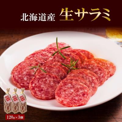 ふるさと納税 札幌市 北海道産 生サラミ 120g 3個 セット サラミ 豚肉 豚 ポーク ブロック_hs087-009