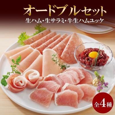 ふるさと納税 札幌市 しばれ生ハム 4種 オードブル セット 生ハム サラミ ユッケ 豚肉 ブロック_hs087-041