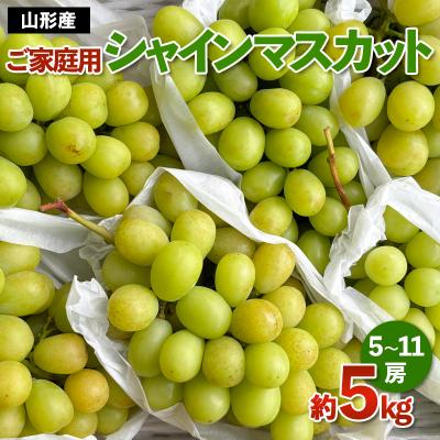 ふるさと納税 山形市 [ご家庭用]山形産 シャインマスカット 約5kg (5房