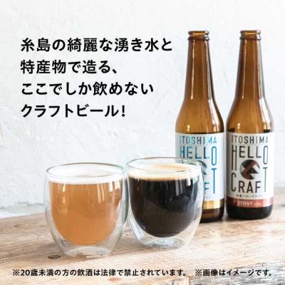 ふるさと納税 糸島市 【全6回定期便】【 3種 飲み比べ 】糸島 クラフト ビール 瓶詰め合わせ6本セット[AGM003]の画像
