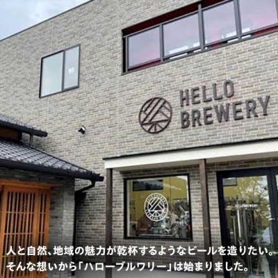 ふるさと納税 糸島市 【全6回定期便】【 3種 飲み比べ 】糸島 クラフト ビール 瓶詰め合わせ6本セット[AGM003]の画像