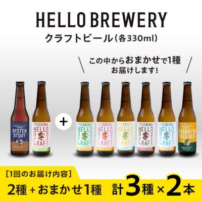 ふるさと納税 糸島市 【全6回定期便】【 3種 飲み比べ 】糸島 クラフト ビール 瓶詰め合わせ6本セット[AGM003]の画像