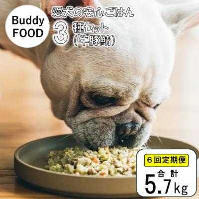 ふるさと納税 薩摩川内市 [6ヶ月定期便]獣医師オススメの愛犬の安心ごはん バディフード 3種セットC(牛豚鯖) FS-607