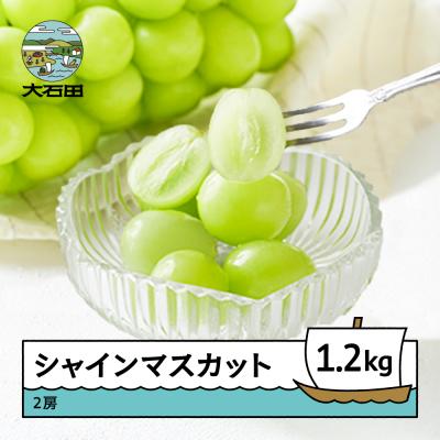 ふるさと納税 大石田町 [先行予約] ぶどう シャインマスカット 秀品 600g×2房 令和8年産 2026年産