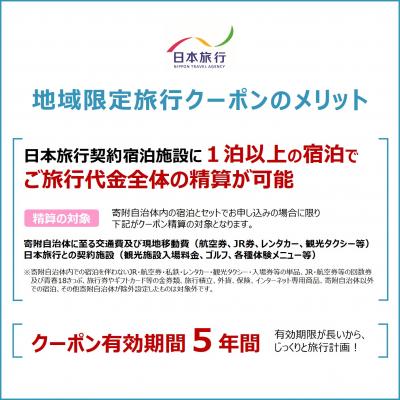 ふるさと納税 江東区 日本の首都都江東区 日本旅行 領域押さえる旅する引き換え証30,000円分【kt007-002】