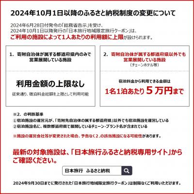 ふるさと納税 江東区 日本の首都都江東区 日本旅行 領域押さえる旅する引き換え証30,000円分【kt007-002】