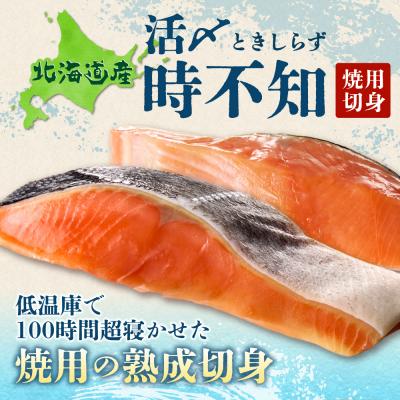 ふるさと納税 札幌市 鮮度の良い時不知鮭だけを厳選!鮭乃丸亀 熟成中辛鮭(活〆時不知)切身_hs034-003の画像
