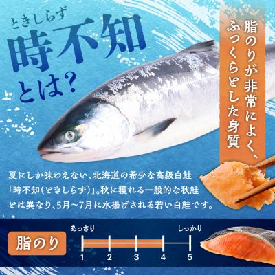 ふるさと納税 札幌市 鮮度の良い時不知鮭だけを厳選!鮭乃丸亀 熟成中辛鮭(活〆時不知)切身_hs034-003の画像
