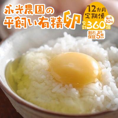 ふるさと納税 札幌市 [12か月定期便]永光農園の平飼い有精卵 25個+割れ保証5個_hs259-003