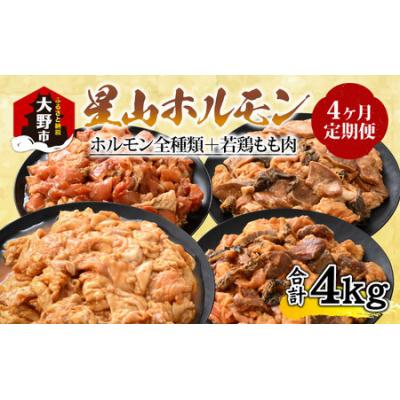 ふるさと納税 大野市 [4ヶ月定期便][全国ホルモン大会初代優勝]星山ホルモン ホルモン全種類+若鶏もも肉定期便セット