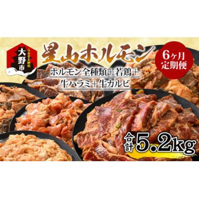 ふるさと納税 大野市 [6ヶ月定期便][全国ホルモン大会初代優勝]星山ホルモン ホルモン全種、牛ハラミ、他の定期便セット