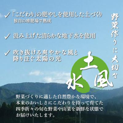 ふるさと納税 大館市 モリモリ野菜・山菜セット(5品目ほど) 75P3205の画像