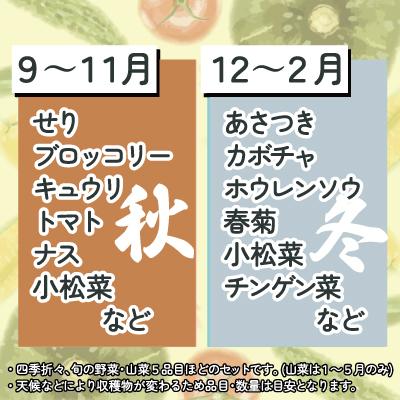 ふるさと納税 大館市 モリモリ野菜・山菜セット(5品目ほど) 75P3205の画像