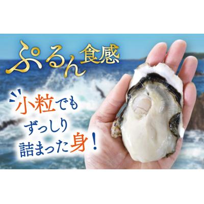 ふるさと納税 気仙沼市 【期間限定発送】 牡蠣 小粒 1〜1年半モノ 生食 殻付き牡蠣 約3kg 20565054_3