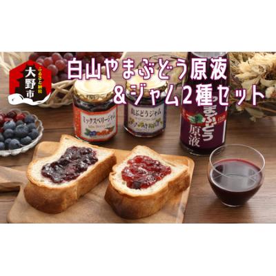 ふるさと納税 大野市 [白山ワイナリー]白山やまぶどう原液&amp;ジャム2種セット