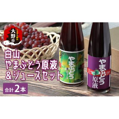 ふるさと納税 大野市 [白山ワイナリー]白山やまぶどう原液&amp;ジュースセット