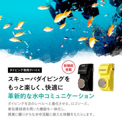 ふるさと納税 東根市 CASIO ロゴシーズII LGS-RG007*2 (マットイエロー) LogoseaseIIの画像