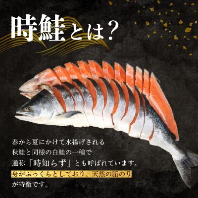 ふるさと納税 函館市 天然時鮭切身 3切入×3パック_HD087-015_1