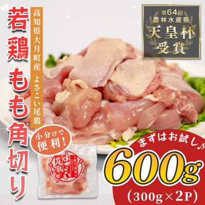 ふるさと納税 大月町 国産 鶏もも角切り 600g (300g×2P) 唐揚げ用 小分け 冷凍 時短 弁当 高知県大月町