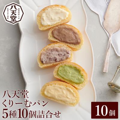 ふるさと納税 三原市 [八天堂]とろけるくりーむパン 10個詰め合わせ (5種×各2個) [015-014]