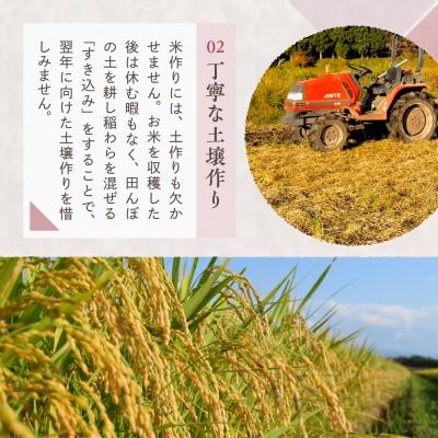 ふるさと納税 妙高市 【2026年5月中旬発送】令和7年産 新潟県妙高産コシヒカリ20kgの画像