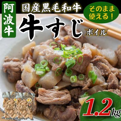 ふるさと納税 小松島市 牛すじ ボイル 1.2kg(300g×4P) 冷凍 国産 黒毛和牛 阿波牛 和牛 牛肉 牛すじ煮込み