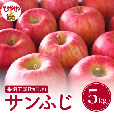 ふるさと納税 東根市 2025年産 りんご「サンふじ」5kg 滝口観光果樹園提供 hi030-040-2