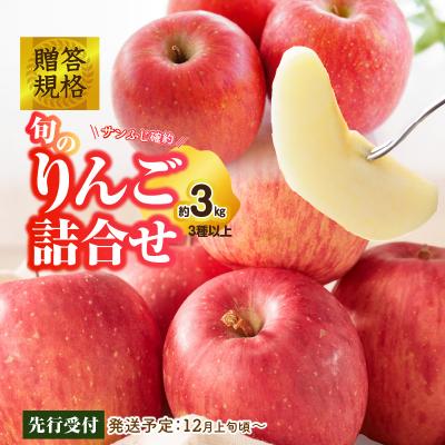 ふるさと納税 大江町 [先行受付]贈答規格 旬のりんご詰合せ約3kg[2025年12月上旬頃〜発送予定]015-052