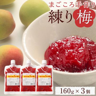 ふるさと納税 角田市 [ふるさと納税]無添加 練り梅 160g × 3個 手作り 梅干 梅干し うめぼし うめ干し 塩分