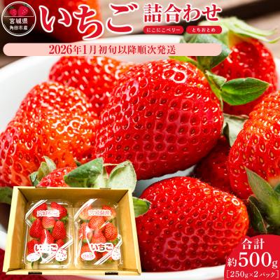 ふるさと納税 角田市 JAみやぎ仙南/宮城県角田市産いちご にこにこベリー・とちおとめ詰合 合計約500g:250g×2P