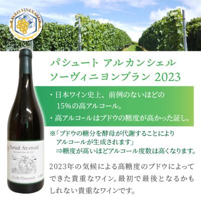 ふるさと納税 東御市 凍霜害 応援　ミシュラン採用の白ワインを飲み比べ【496ワイナリー】_1