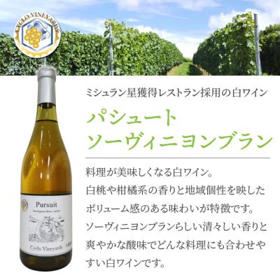 ふるさと納税 東御市 凍霜害 応援　ミシュラン採用の白ワインを飲み比べ【496ワイナリー】_2