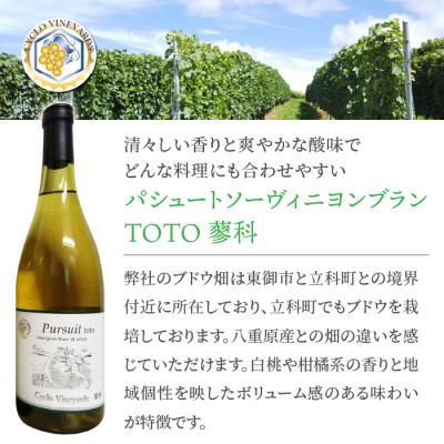 ふるさと納税 東御市 凍霜害 応援　ミシュラン採用の白ワインを飲み比べ【496ワイナリー】_3