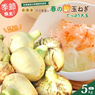 ふるさと納税 太良町 牟田農園の春の新玉ねぎ たっぷり大玉 5kg〔2Lサイズ〕