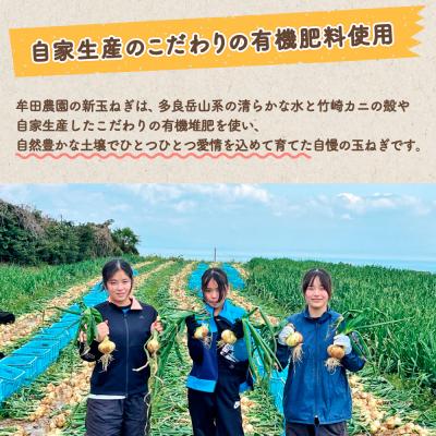 ふるさと納税 太良町 牟田農園の春の新玉ねぎ たっぷり大玉 5kg〔2Lサイズ〕の画像