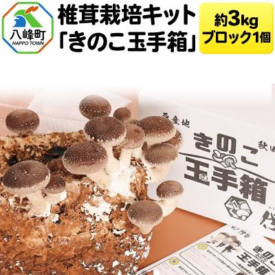 ふるさと納税 八峰町 椎茸栽培キット「きのこ玉手箱」約3kg ブロック×1個|16_rnc-020101