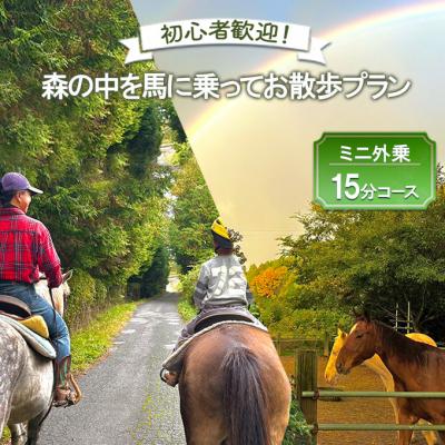 ふるさと納税 安芸高田市 初心者歓迎 森の中を馬に乗ってお散歩プラン(15分)[No5895-0761]