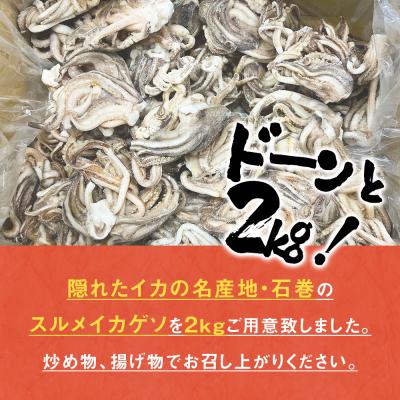 ふるさと納税 石巻市 訳あり 石巻産スルメイカゲソ 2kg 9月送りとどける 凝結 国産 いか 履きもの おつまみ ゲソ天 石巻市