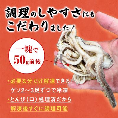 ふるさと納税 石巻市 訳あり 石巻産スルメイカゲソ 2kg 9月送りとどける 凝結 国産 いか 履きもの おつまみ ゲソ天 石巻市
