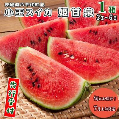ふるさと納税 八千代町 [先行受付 2026年7月上旬以降発送]小玉スイカ 姫甘泉 1箱 3〜6玉入り [AV002ya]