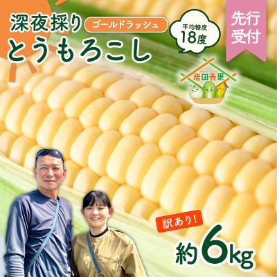 ふるさと納税 八千代町 [先行受付]6月中旬以降発送[訳あり]深夜採り とうもろこし ゴールドラッシュ 約6kg 数量限定
