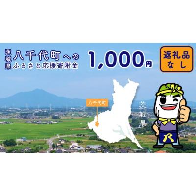 ふるさと納税 八千代町 [ 返礼品なし ]茨城県 八千代町 ふるさと応援寄付金 ( 1,000円 ) [ZZ001ya]