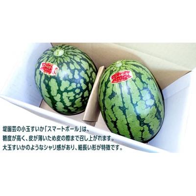 ふるさと納税 八千代町 【先行受付 2026年5月下旬以降発送】 小玉