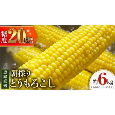 ふるさと納税 八千代町 朝採り 農家直送 とうもろこし 6kg「おおもの」[先行受付 7月中旬以降発送] [AX027ya]