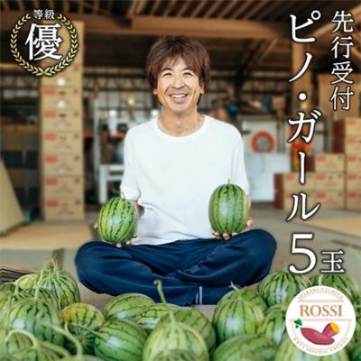 ふるさと納税 八千代町 [先行受付2026年7月下旬以降発送] 小玉 スイカ ピノ・ガール 5玉 優以上 [AX030ya]