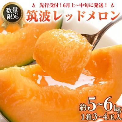 ふるさと納税 八千代町 [6月上旬以降発送]筑波レッドメロン 1箱 3玉〜4玉 入り(約5kg〜6kg)[BU002ya]