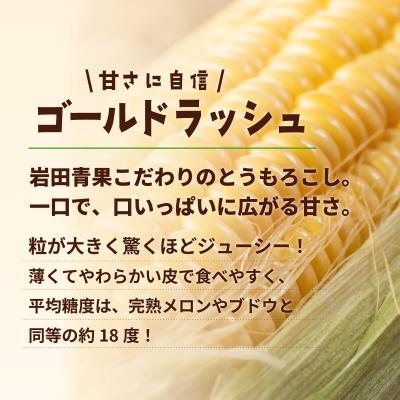 ふるさと納税 八千代町 2026年6月中旬以降発送 深夜採り とうもろこし