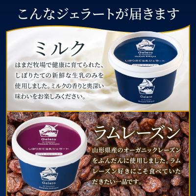 ふるさと納税 米沢市 生乳ジェラートセット　3か月定期便(合計36個)ミルク ラムレーズン キャラメル 限定フレーバー_1